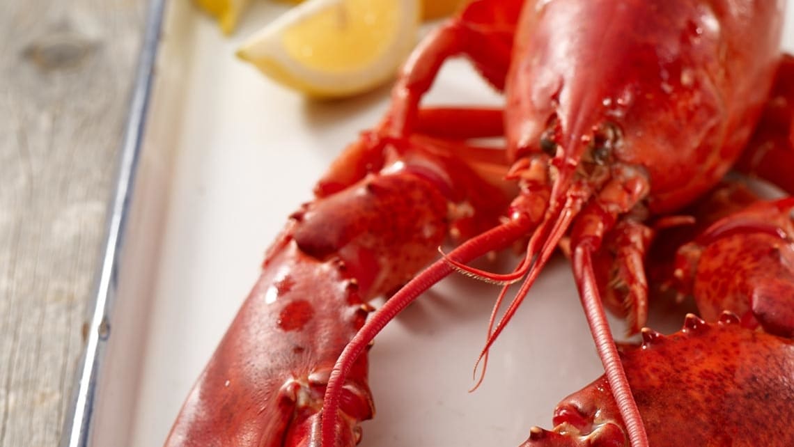 Jasper White's Lobster Stock - New England