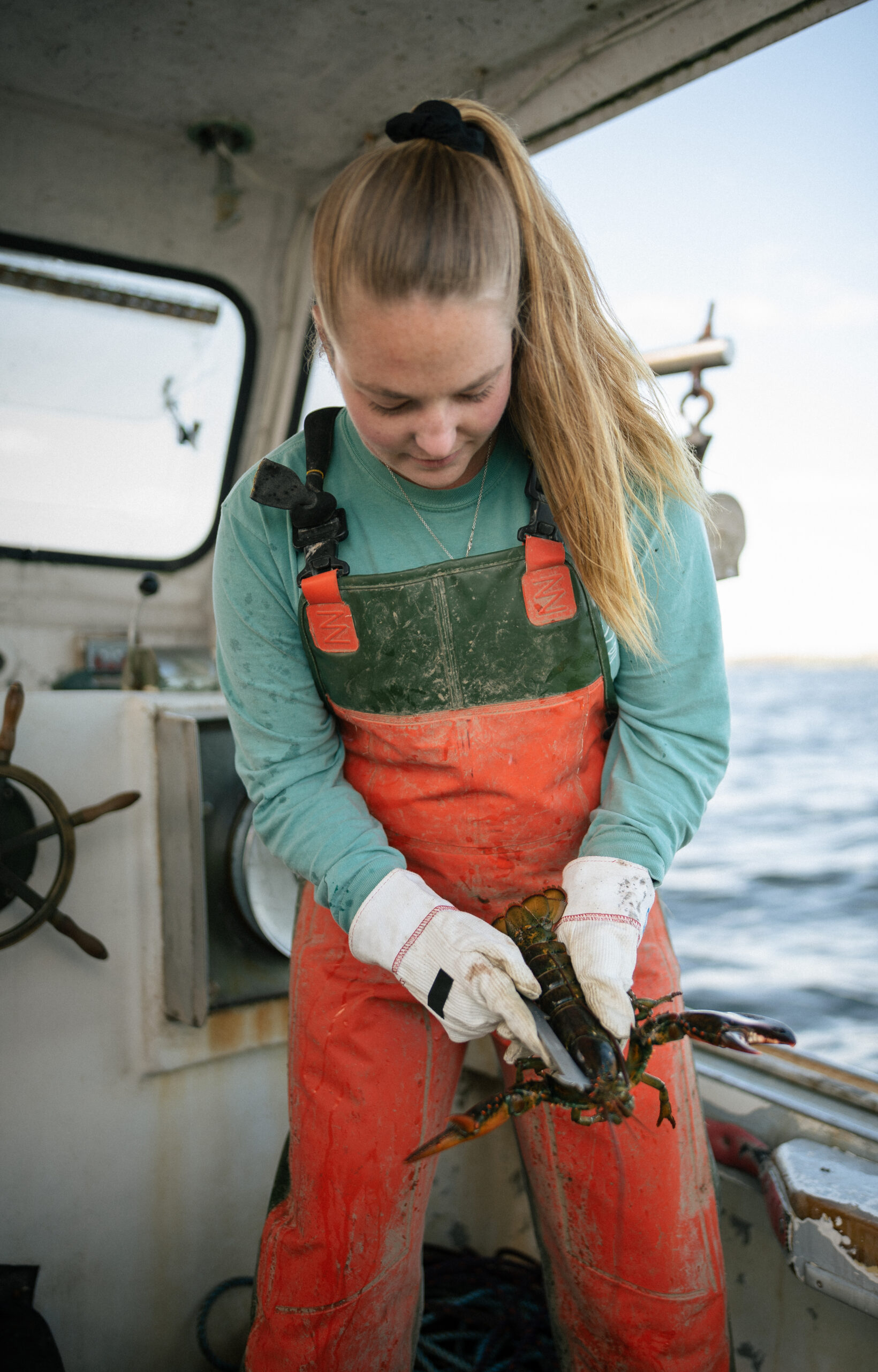 Sadie Samuels - Maine Lobster