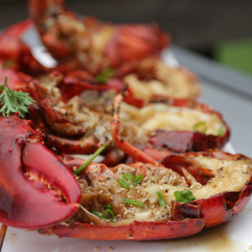 Grilled Maine Lobster with Ginger-Citrus and Scallions recipe image