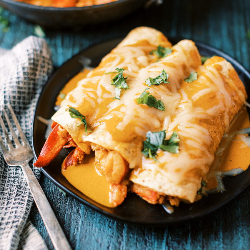 Chipotle Poblano Maine Lobster Enchiladas recipe image