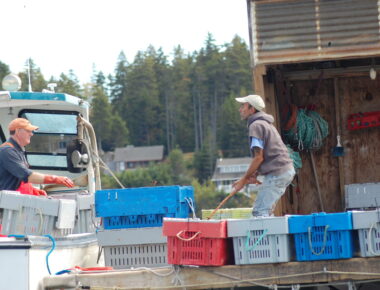 Behind Every Good Fisherman, there’s a Busy Wharf