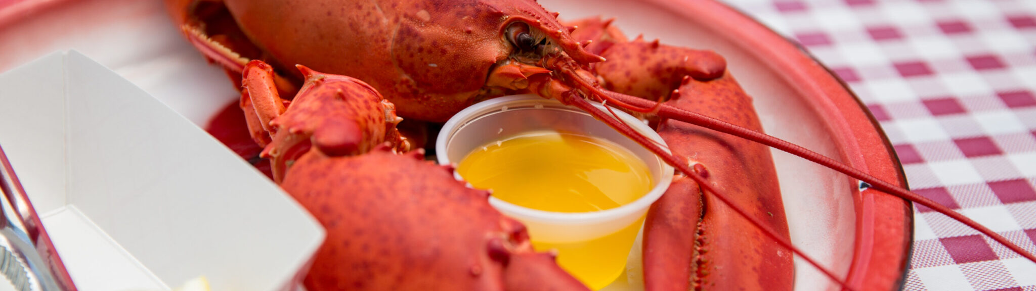 The Inside Scoop: Answers to FAQs About Maine Lobster recipe image