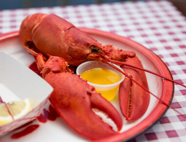 The Inside Scoop: Answers to FAQs About Maine Lobster