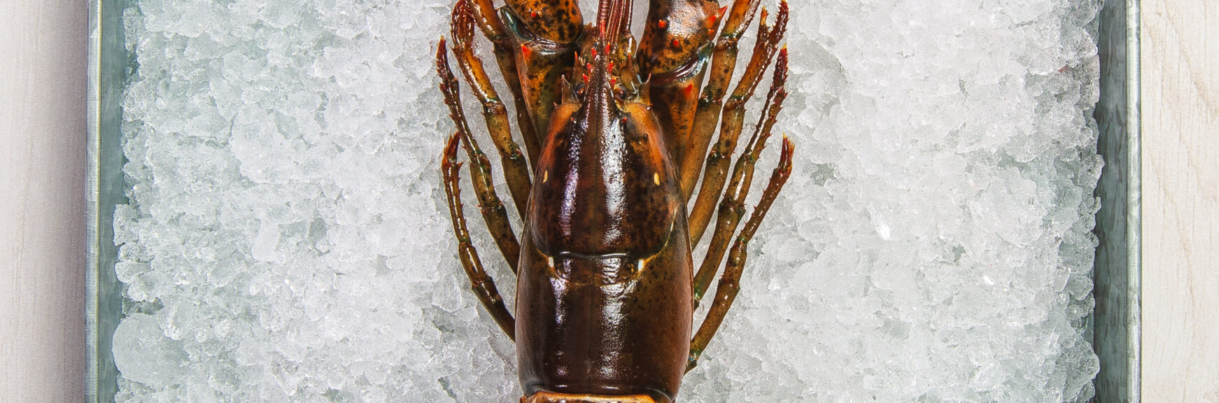 How to Boil Lobster recipe image