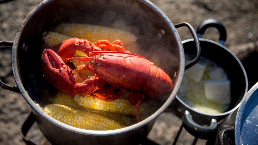 Cooking Lessons from a Maine Lobsterman recipe image