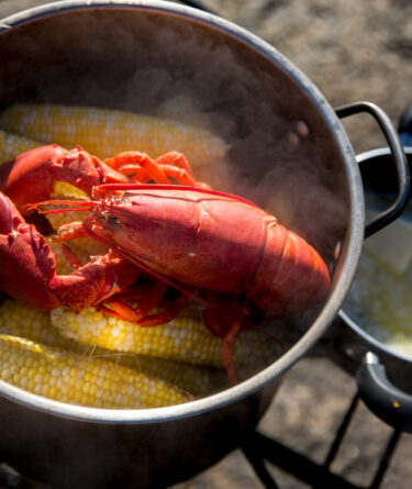 Cooking Lessons from a Maine Lobsterman recipe image