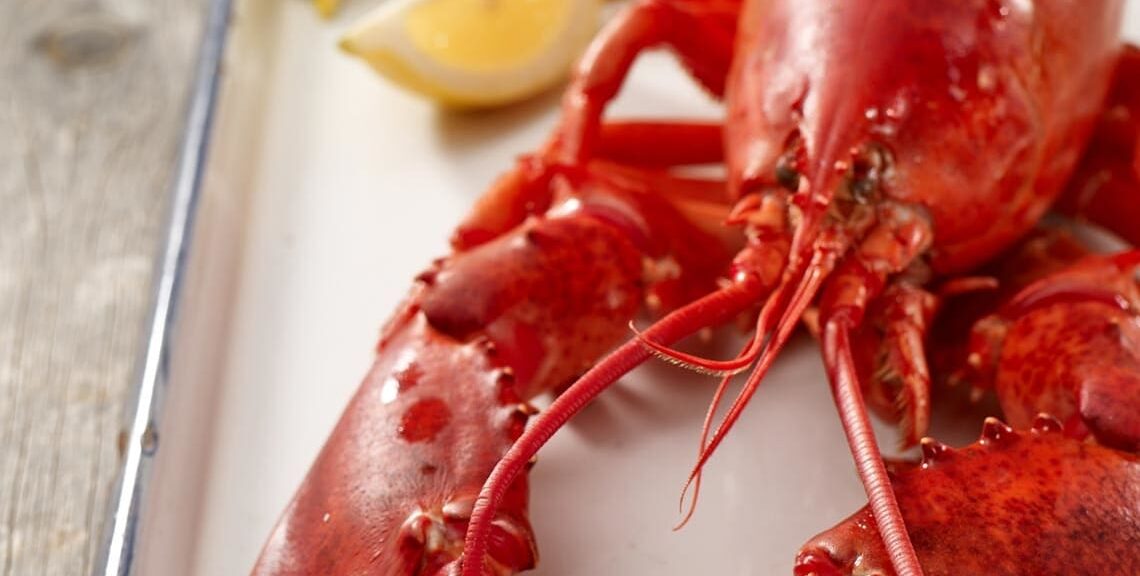 How to Steam Lobster recipe image