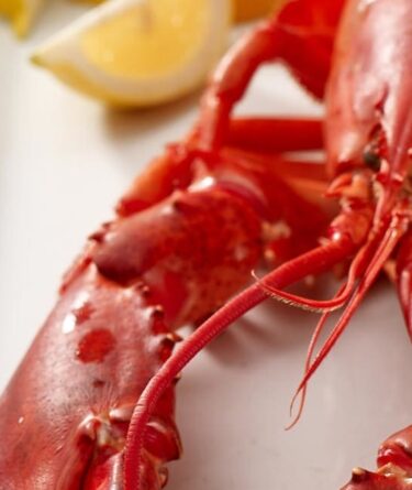 How to Steam Lobster recipe image