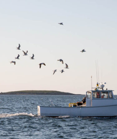Take a Tour on a Lobster Boat recipe image