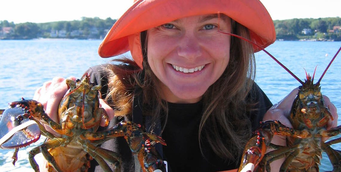 Lobsters – Getting them from They-ahh to Hee-yahhh recipe image