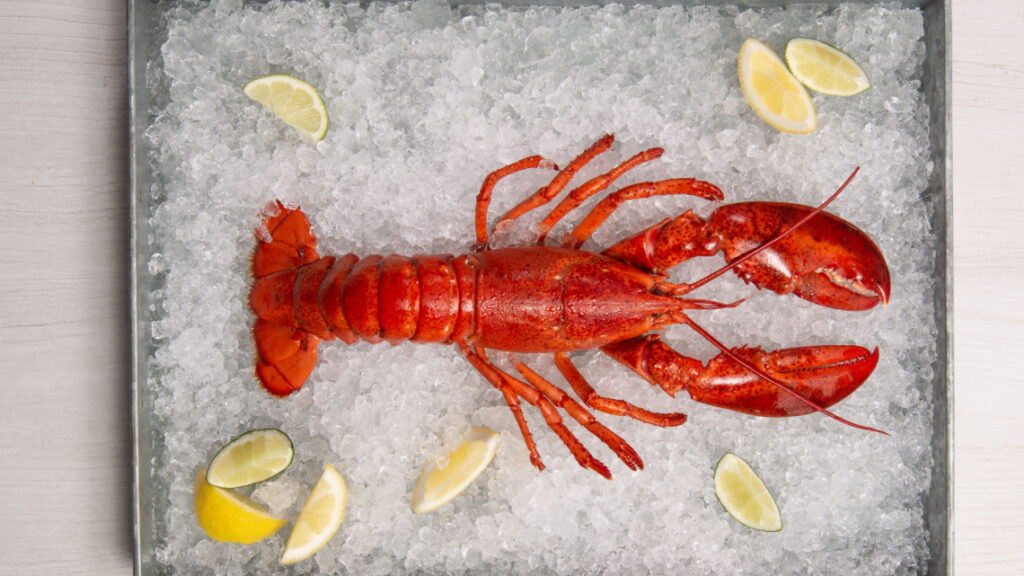 Why Make It Maine? Preparing Cooked Lobster Products recipe image