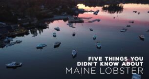 Five things you didn’t know about Maine Lobster