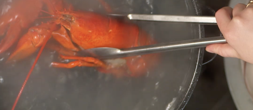 HOW TO: BOIL MAINE LOBSTER