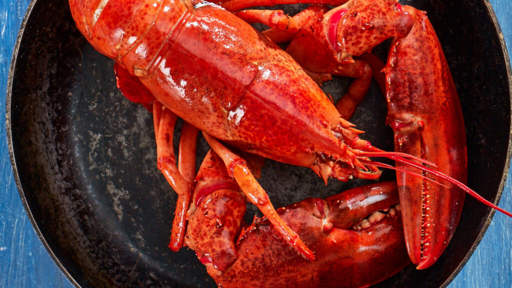 Maine Lobster Nutritional Information recipe image