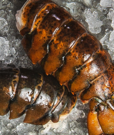 Why Make It Maine? Cooking with Raw Lobster recipe image