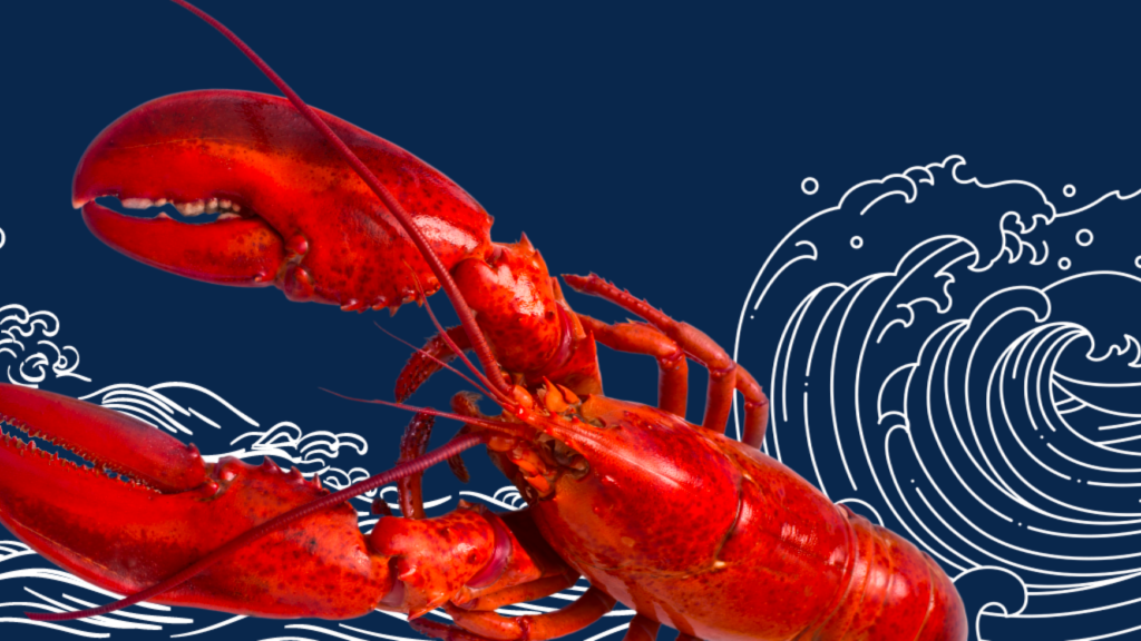 Maine Lobster Fact Sheet - Maine Lobster
