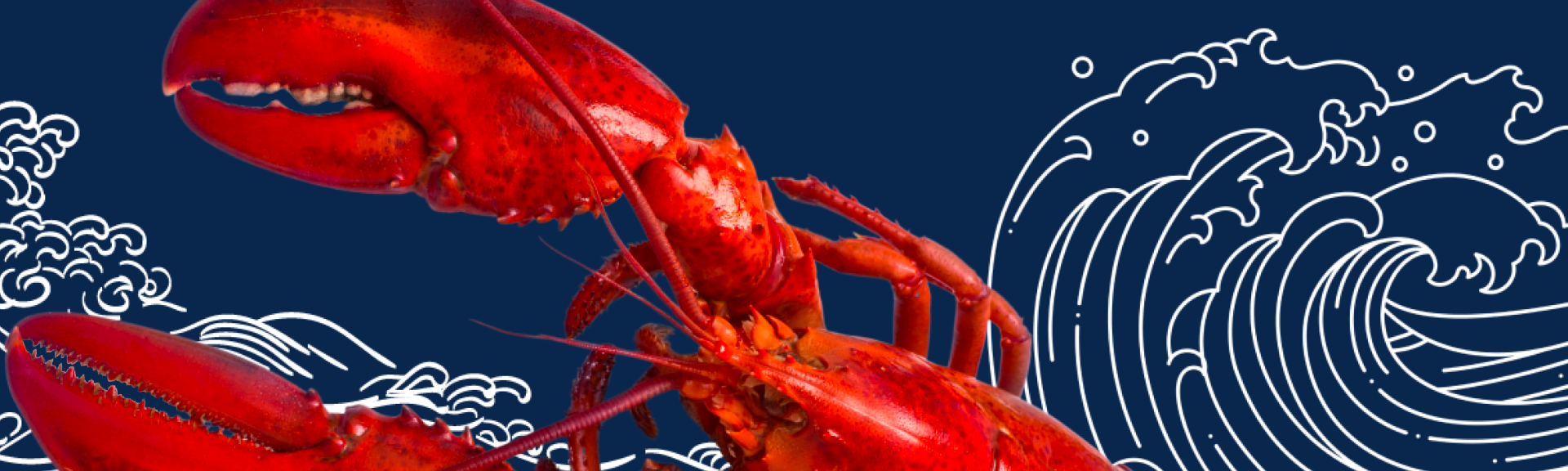 Holiday Recipes featuring Maine Lobster recipe image