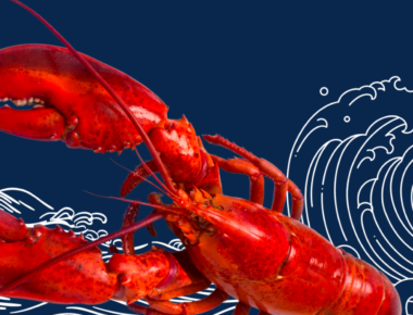 Maine Lobster Au Gratin