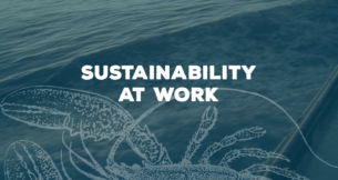 Sustainability At Work