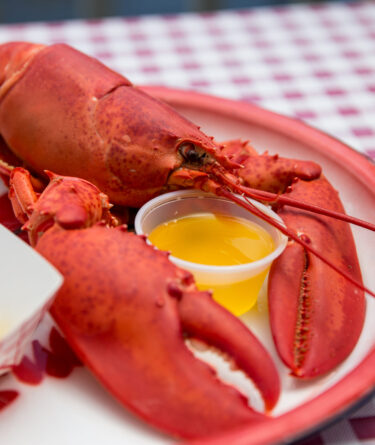 This National Lobster Day, Help Support the Maine Lobster Industry recipe image