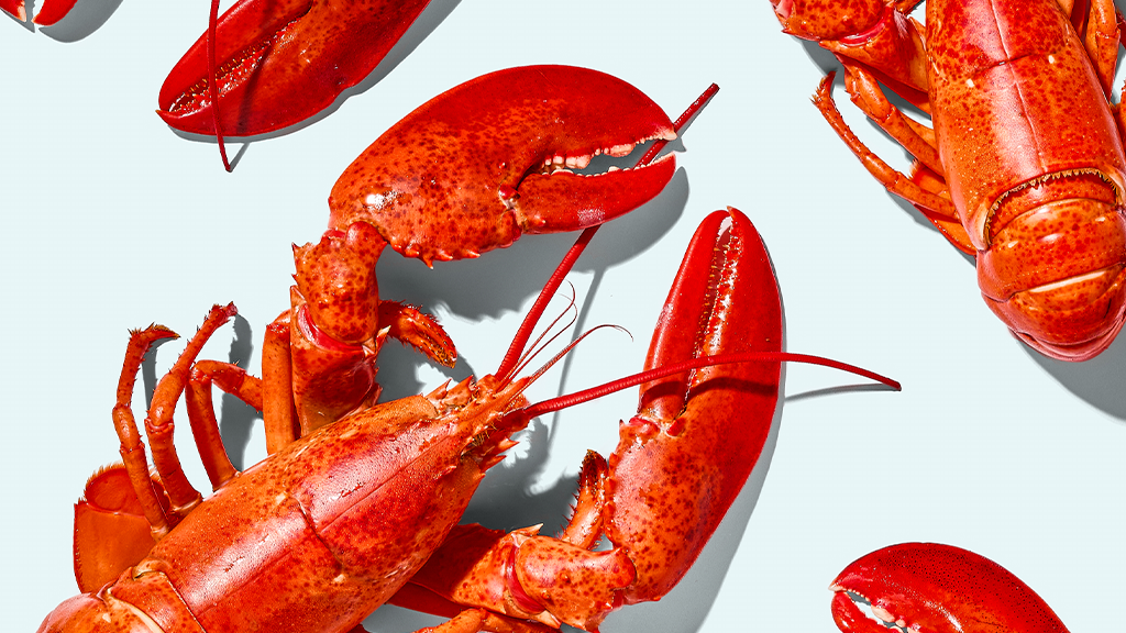 How to Host with Maine Lobster recipe image