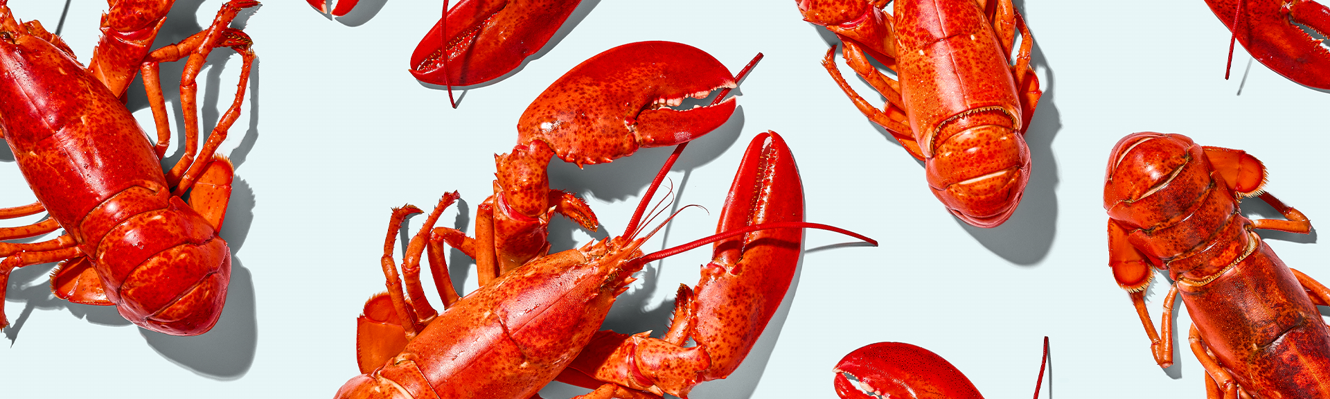 How to Host with Maine Lobster recipe image