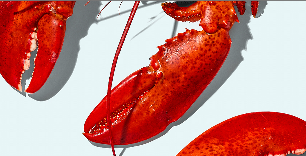 Streamline Your Maine Lobster Sourcing & Procurement recipe image