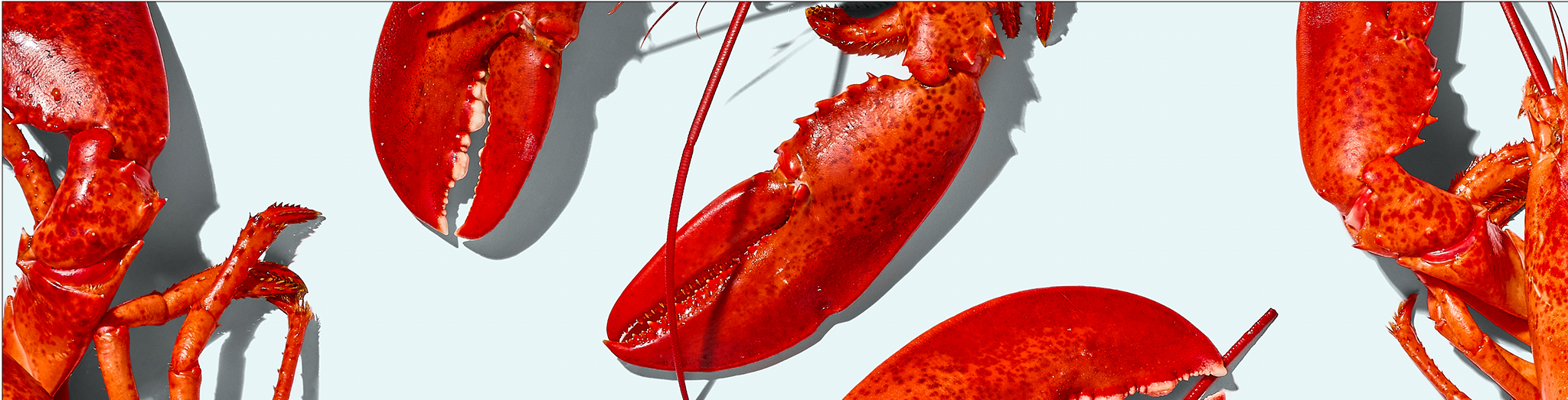 Streamline Your Maine Lobster Sourcing & Procurement recipe image