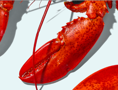 Streamline Your Maine Lobster Sourcing & Procurement