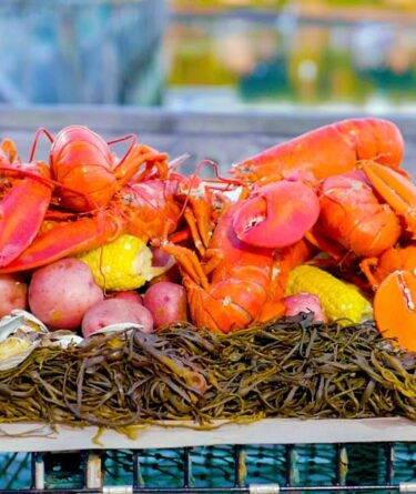 Maine Lobster Boil recipe image